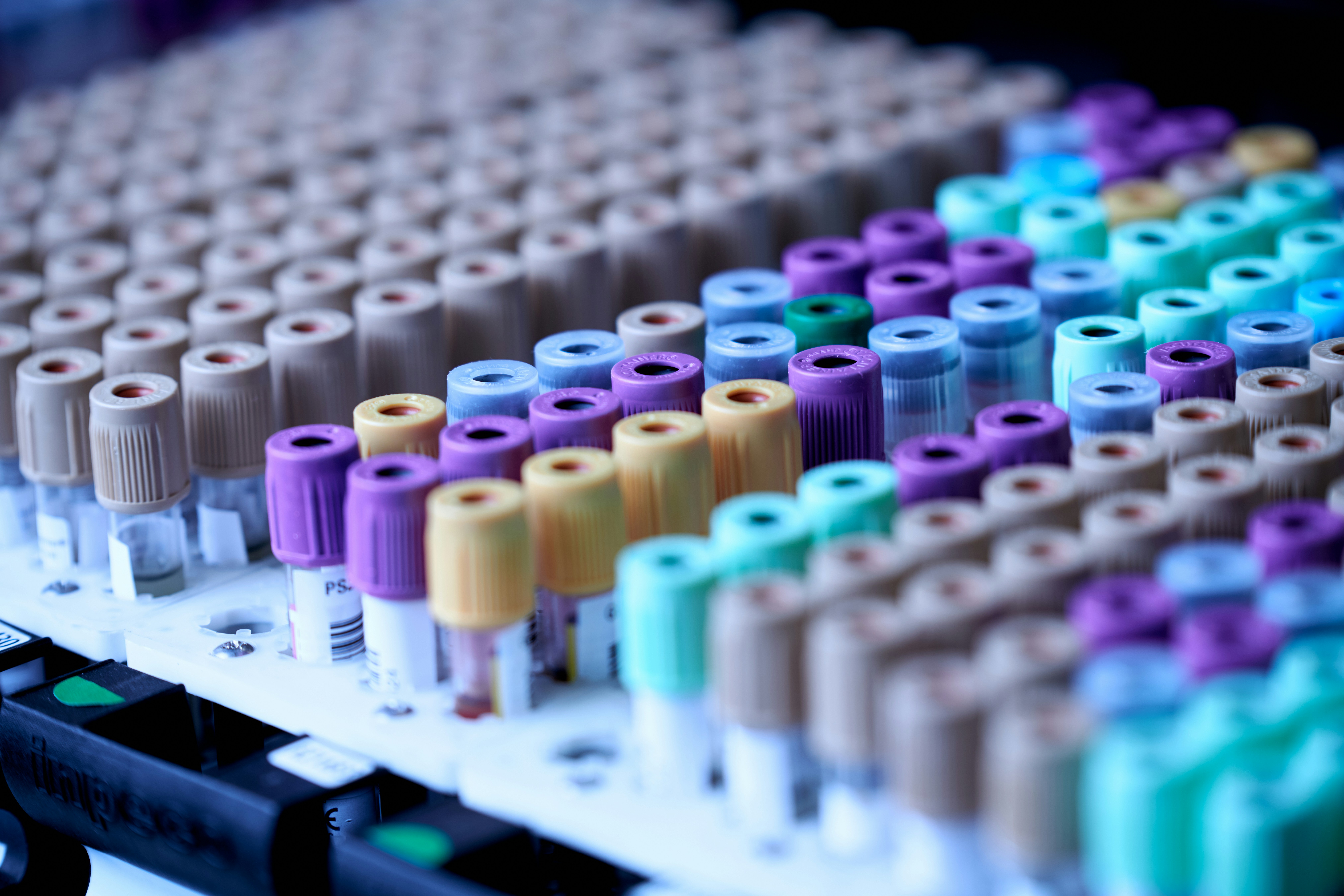 Rows of medical blood collection tubes with colorful caps in a laboratory rack